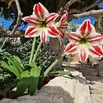 Oikos Selinolithos
