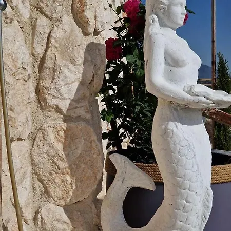 Oikos Selinolithos Alaminos