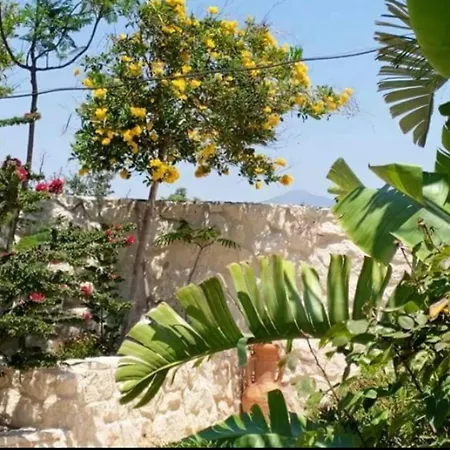 בית נופש Oikos Selinolithos Alaminos