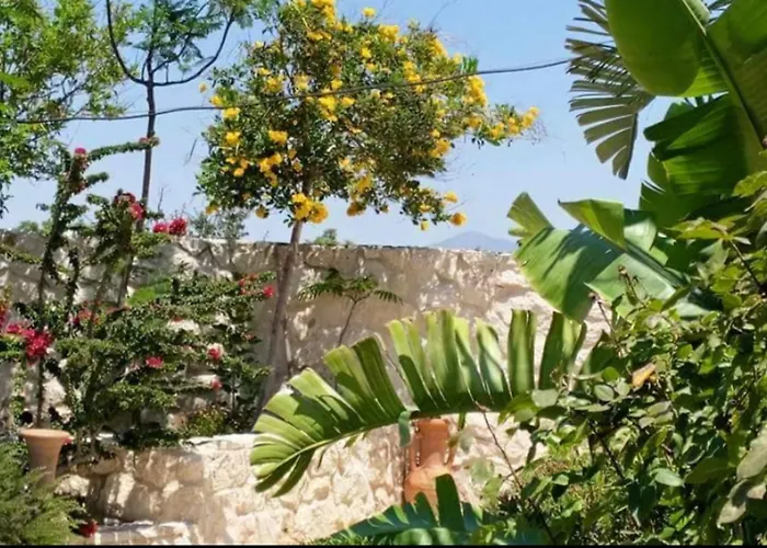 Σπίτι διακοπών Oikos Selinolithos Αλαμινός